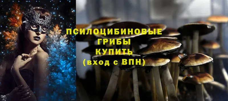 Псилоцибиновые грибы MAGIC MUSHROOMS  Муравленко 